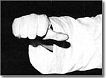 Taekwon-do.nl | Hand attacking parts